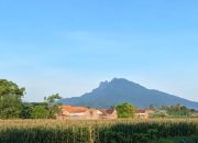 Puncak Gunung Ringgit, Petualangan di Atas Awan Situbondo