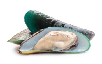Kerang Hijau
